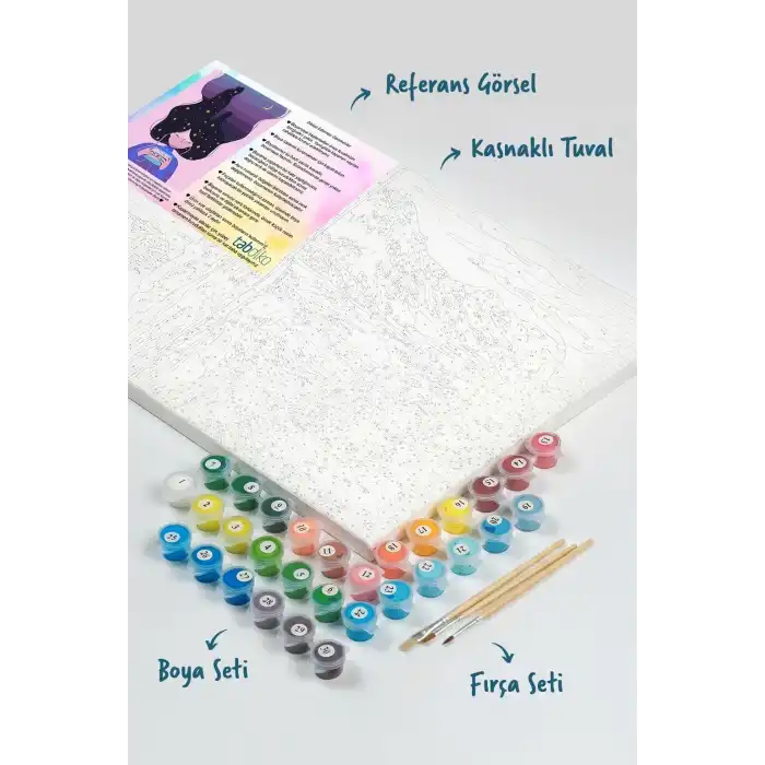 Sayılarla Boyama Seti 40 x 50 cm Tuval Şasesine Gerili Kaset