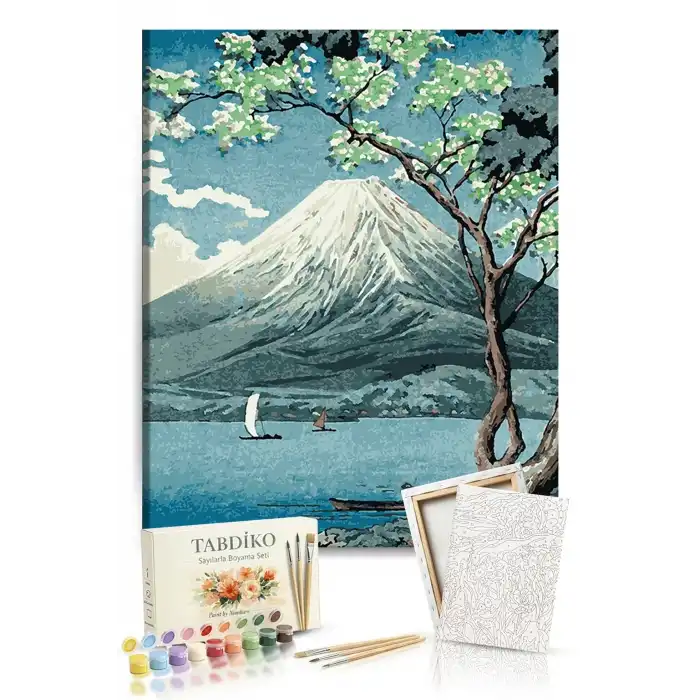 Sayılarla Boyama Seti 40 x 50 cm Tuval Şasesine Gerili Zirveye Bakış