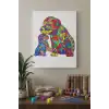 Goril Desenli Mandala Tuval Boyama Seti 40x50 cm