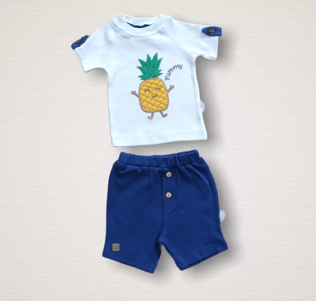 6-9 9-12 12-18 Months Ananas Embroidery Short Sleeve Sweaty Shorts 2 Girl Baby Set Blue