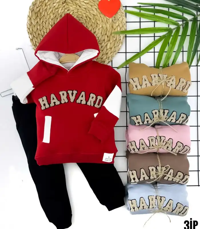 2-3-4-5 Yaş Kapşonlu Harvard Nakışlı Uzun Kollu 2li Kız Erkek Çocuk Takımı Mavi