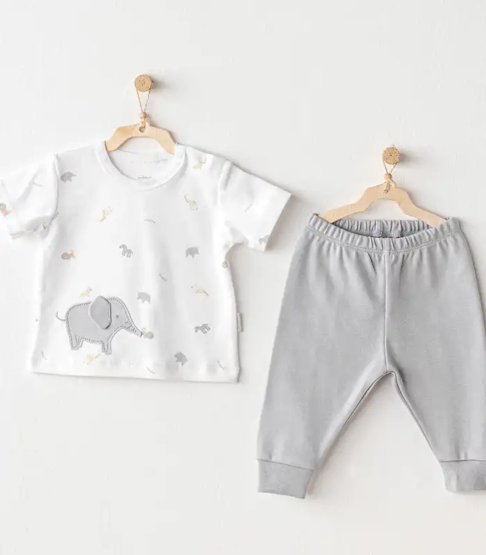 Andywawa AC25809 Little King 2Li Takım Grey