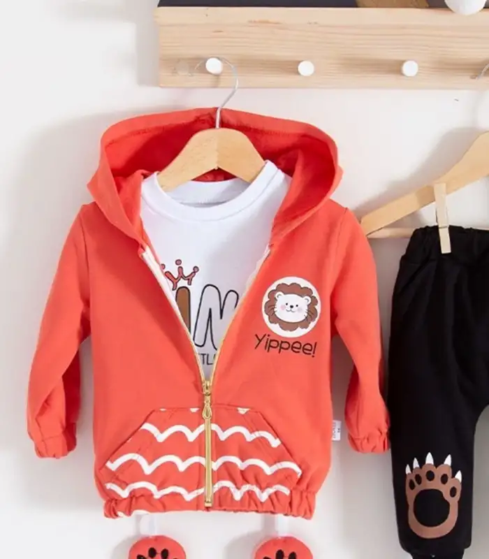 Aslan Desenli 3lü Erkek Bebek Takımı