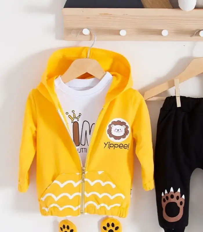 Aslan Desenli 3lü Erkek Bebek Takımı