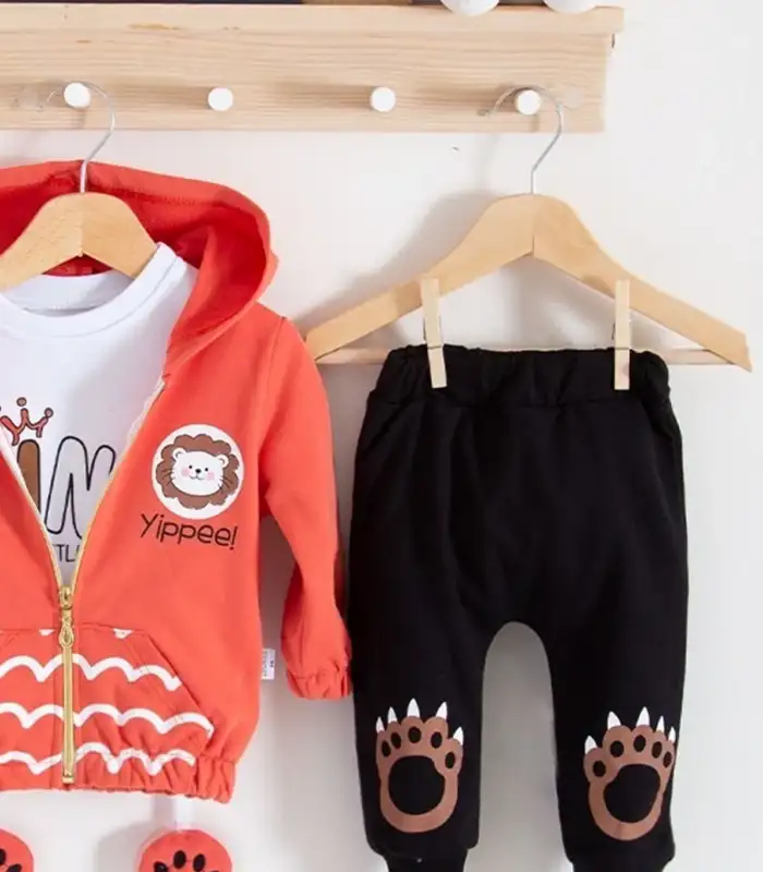 Aslan Desenli 3lü Erkek Bebek Takımı