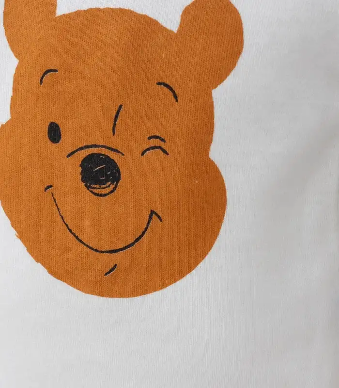 Ayıcık Desenli Şapkalı Erkek Bebek Takım