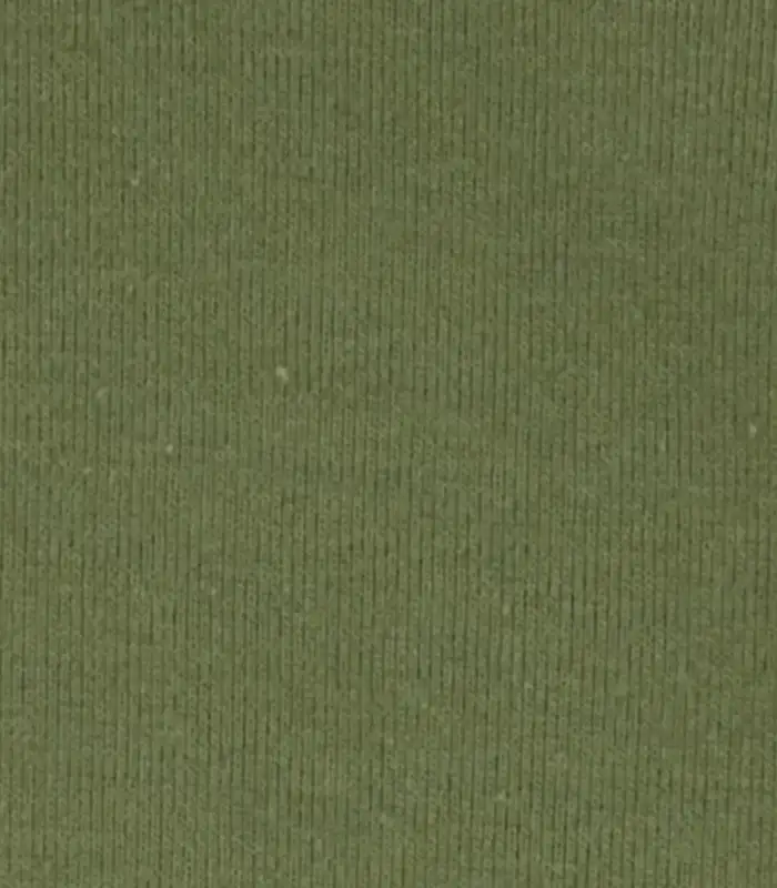 Erkek Bebek Uzun Kollu Body Set 4lü Paket  Renkli