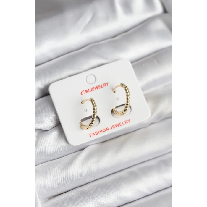 14K Gold Renk Kaplama Burgu Halka CM Kadın Küpe