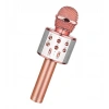 Bluetooth Karaoke Mikrofon (5047)
