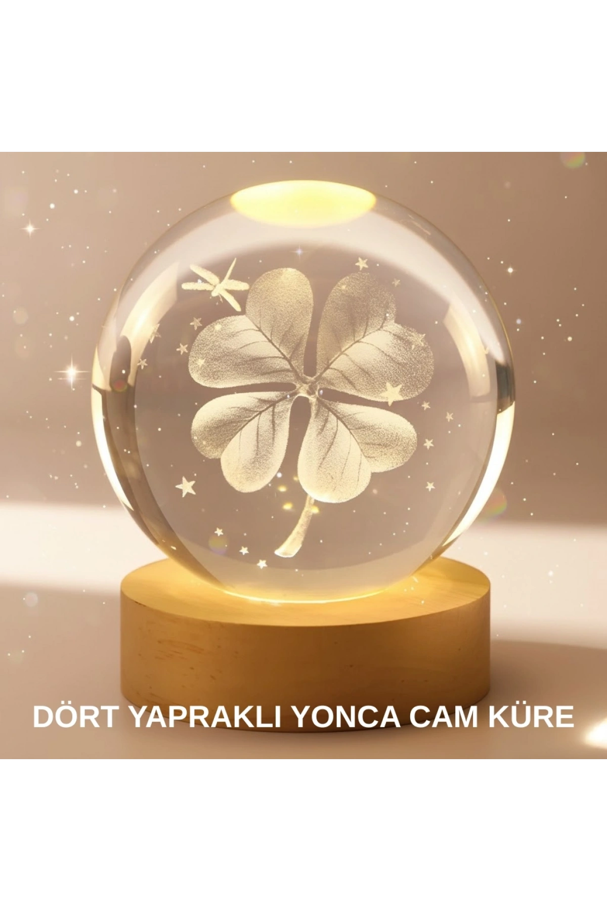 Bitki Temalı LED Işıklı Cam Küre Ahşap Standlı Modern Gece Lambası