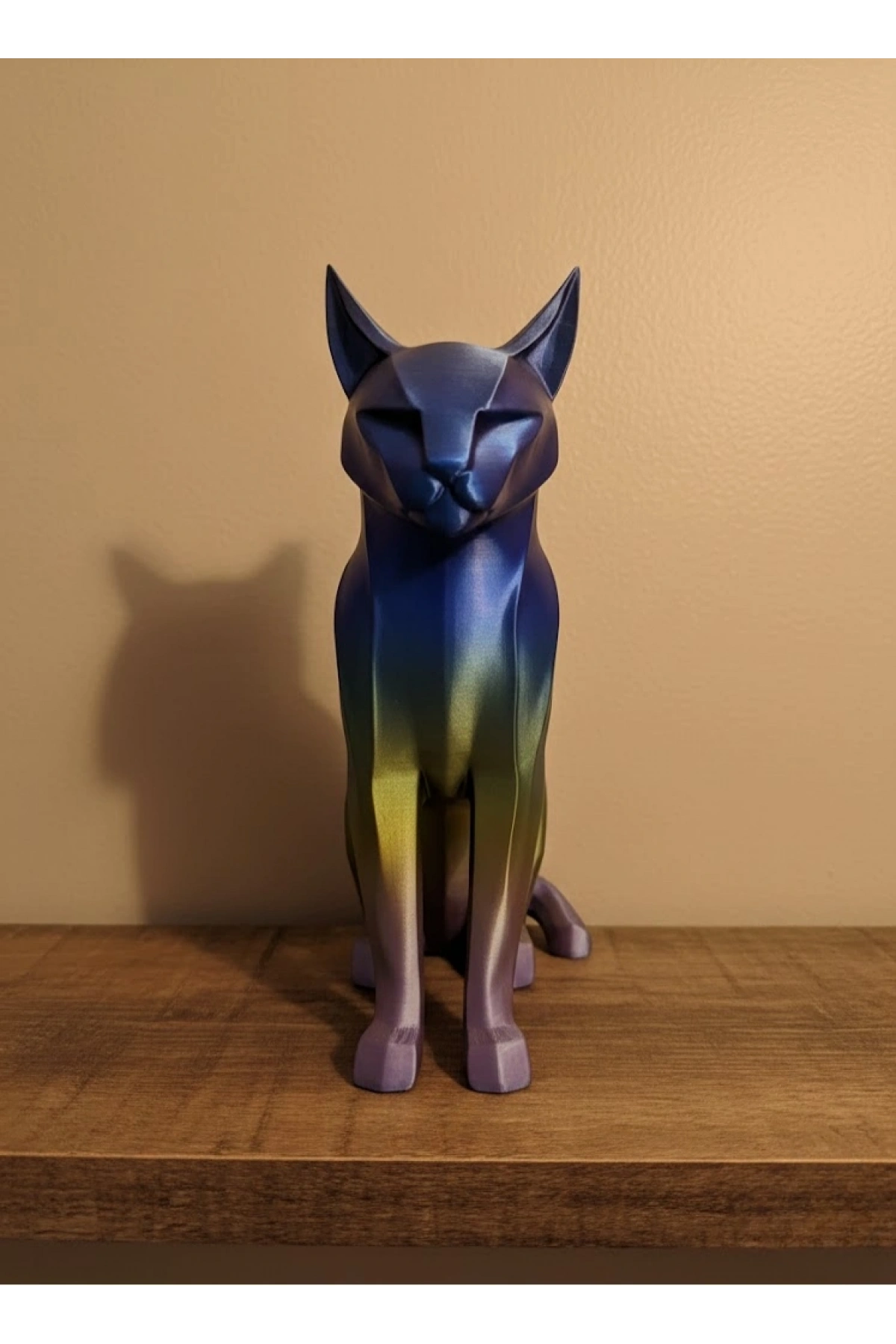 Koyu Rainbow Kedi Biblo Modern Salon ve Raf Dekoru