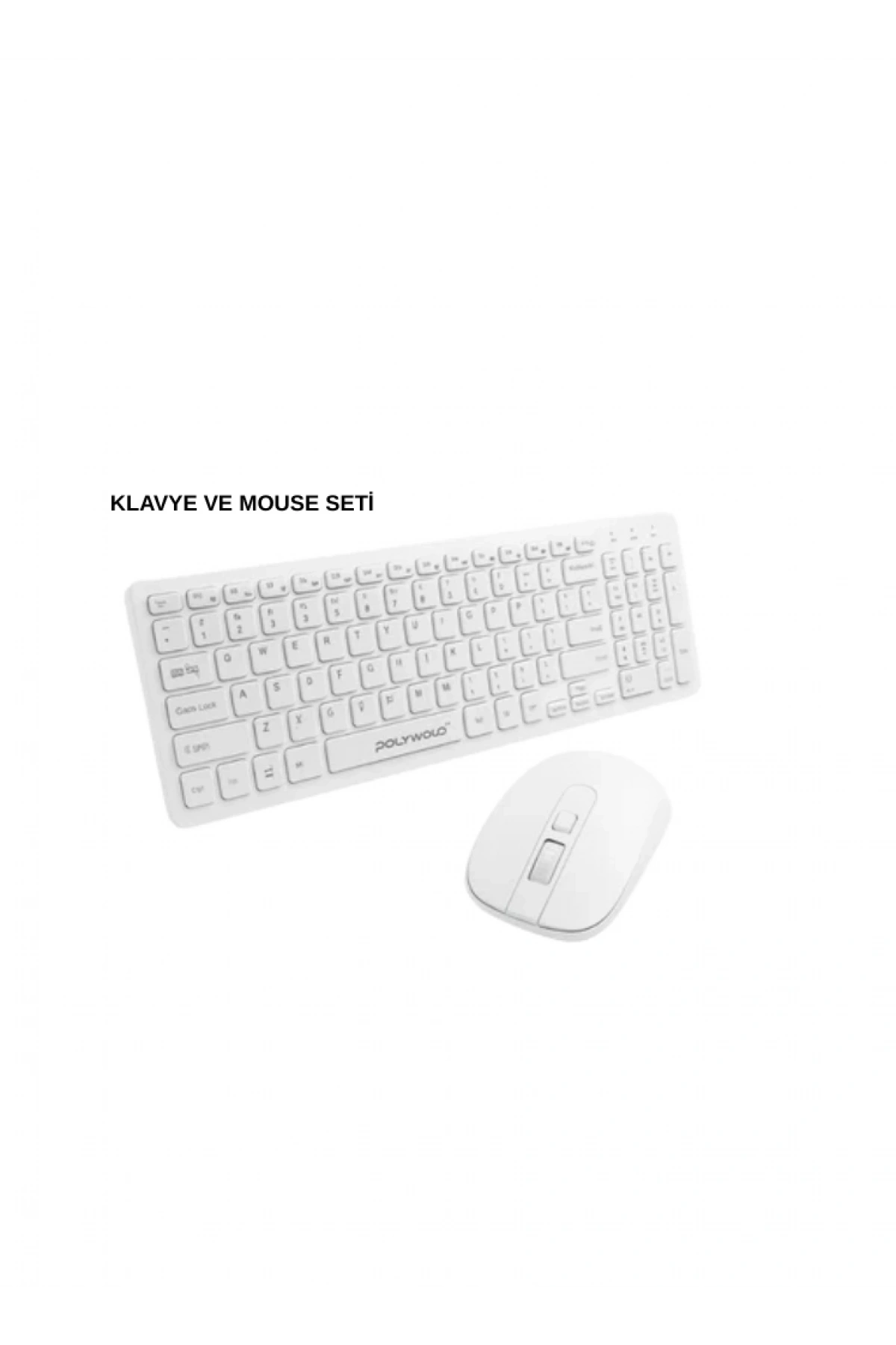 PG-8040 KLAVYE VE MOUSE SETİ