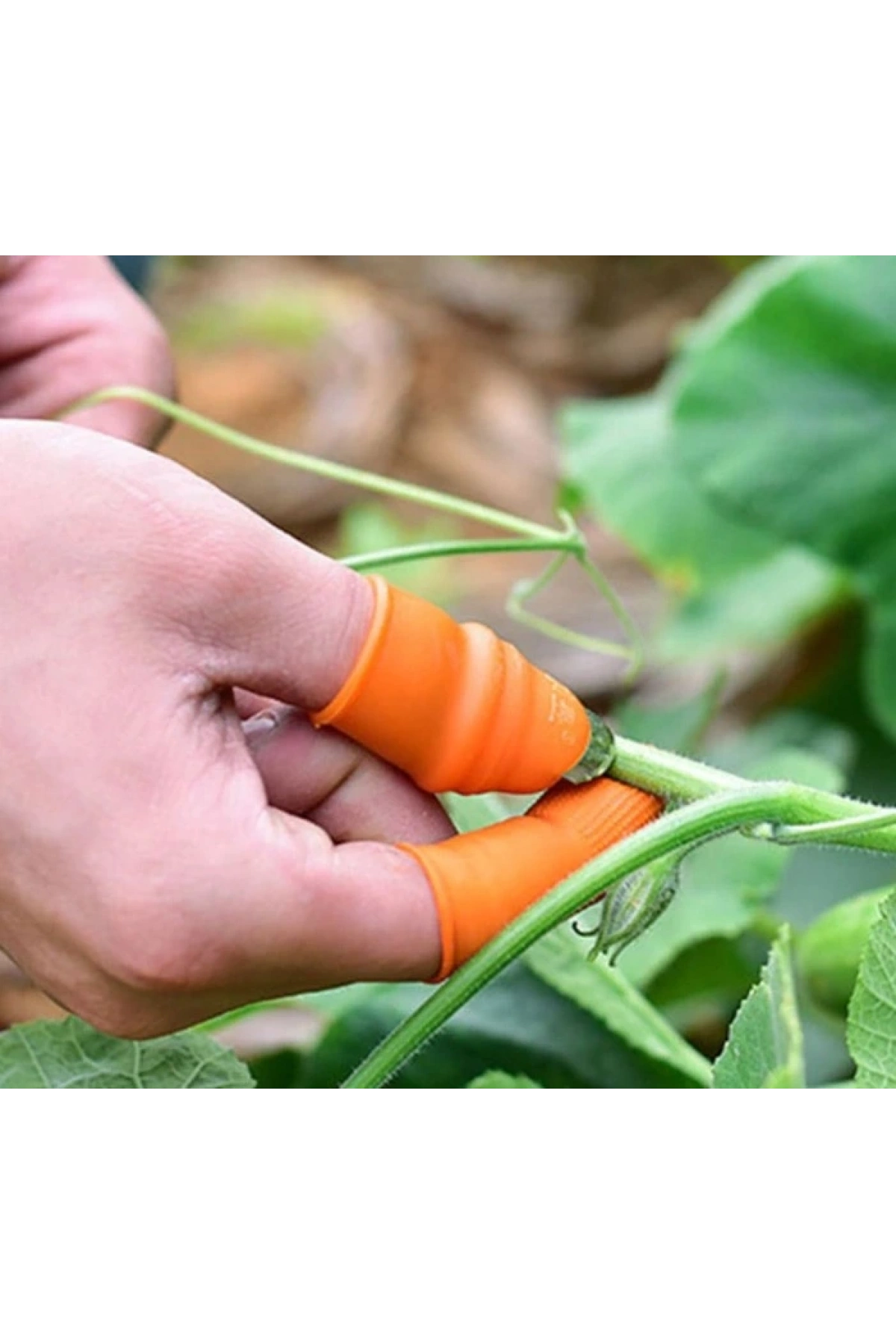 Pratik Baş Parmak Sebze Kesme Ayıklayıcı Erkek L Set (5047)