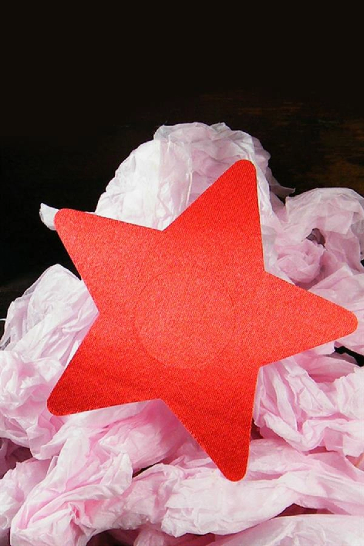 Arias Closet Kırmızı Yıldız Şeklinde Fantezi Göğüs Ucu Kapatıcı