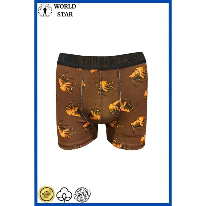 Arias Closet Likralı Pamuklu Renkli Erkek Boxer