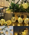 2m 10 Led Pilli 2 Kademeli Ananas Led Işık Mz6200-251