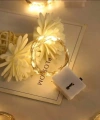 2m Pilli Peri Led Beyaz Işık 50li Paket