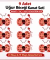 9’lu Uğur Böceği Kostüm Seti – Kanat Taç Asa