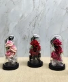 Işıklı Müzikli Cam Fanus İçinde Romantik Gül  Alk5004