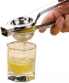 Paslanmaz Çelik Limon Sıkacağı