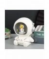 Polyester Masa Üstü Astrolog Ledli Lamba Alk1171