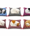 Yastıkta Uyuyan Kedi Sesli Alk25