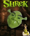 Yeşil Shrek Maskesi 21x25 Cm