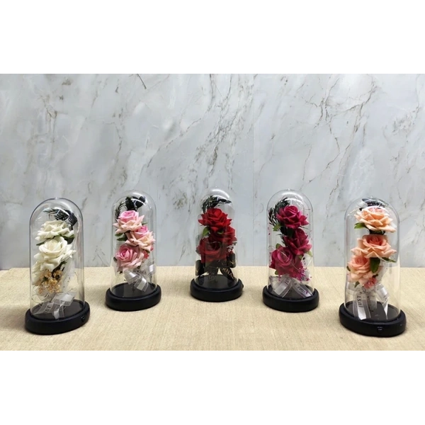Işıklı Müzikli Cam Fanus İçinde Romantik Gül  Alk5004