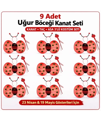 9’lu Uğur Böceği Kostüm Seti – Kanat Taç Asa