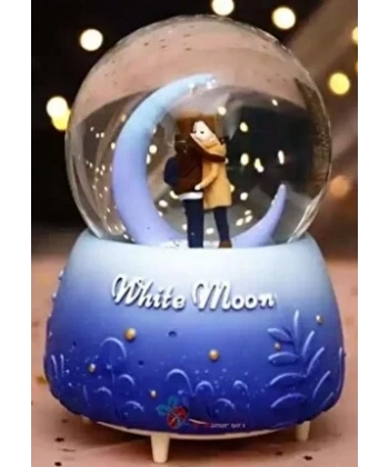 Kar Küresi Orta Boy Wy20k08