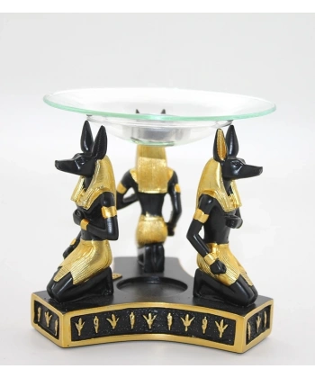 Polyester Anubis Buhurdanlık  Alk2982