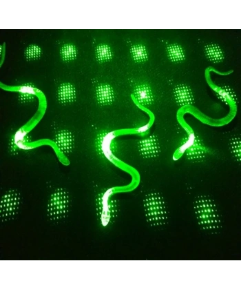 Şaka Yılan Ve Kırkayak Karışık 36 Adet