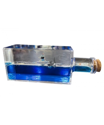 Şişe İçinde Batmayan Gemi Alk3414