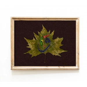 Vav Islamic Calligraphy Art on Maple Leaf