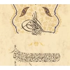 Ayatul Kursi and Surah Baqarah Manuscript Wall Decor 35X100