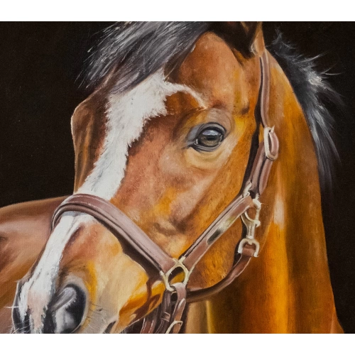 Kahverengi At Yağlıboya Tablo 50x70cm