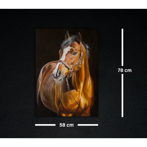 Kahverengi At Yağlıboya Tablo 50x70cm