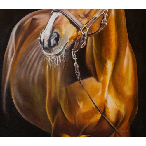 Kahverengi At Yağlıboya Tablo 50x70cm