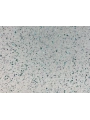 DKS - 1 No: 8