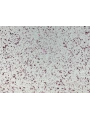 DKS - 1 No: 11