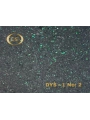DYS - 1 No: 2
