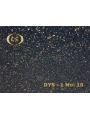 DYS - 1 No: 18