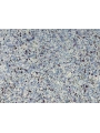 DRS - 1 No: 24
