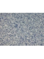 DRS - 1 No: 22