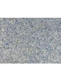 DRS - 1 No: 21