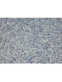DRS - 1 No: 19