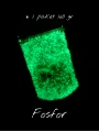 FOSFOR (160 gr)