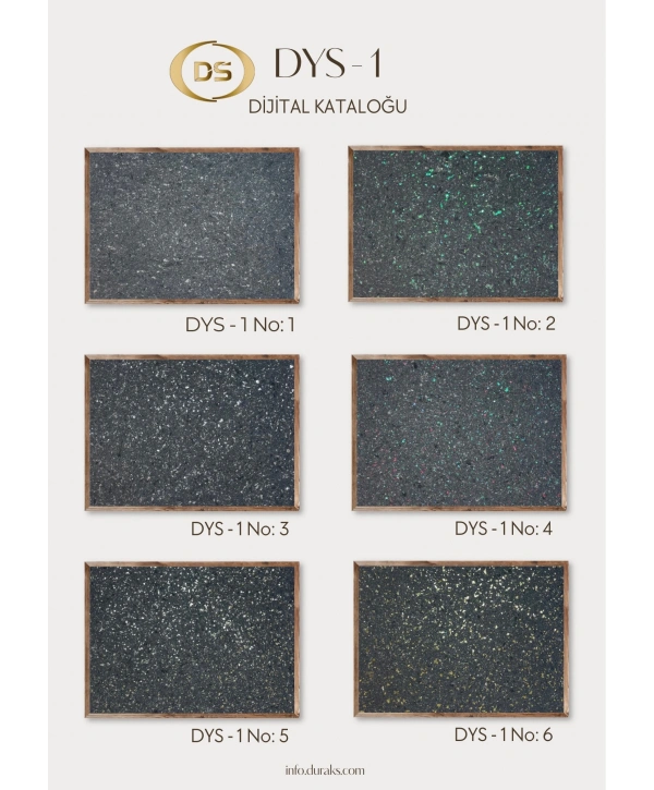 DYS - 1 No: 2