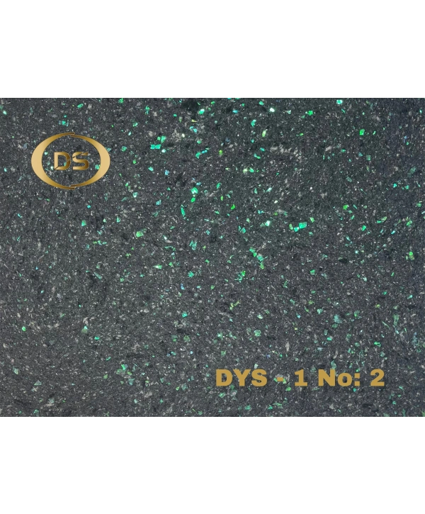 DYS - 1 No: 2