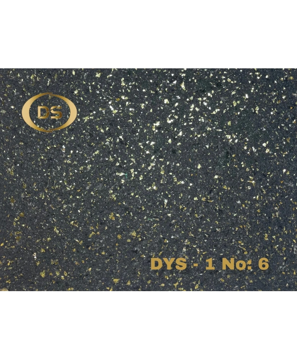DYS - 1 No: 6
